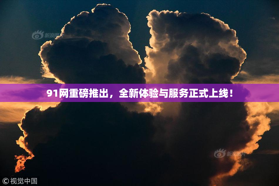 91网重磅推出，全新体验与服务正式上线！