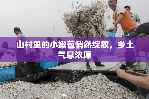 山村里的小嫩苞悄然绽放，乡土气息浓厚