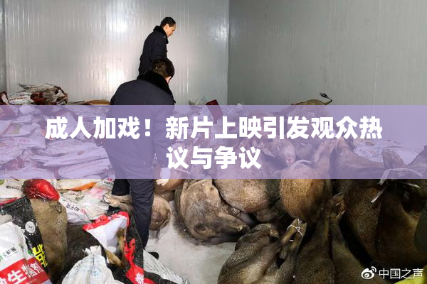 成人加戏！新片上映引发观众热议与争议
