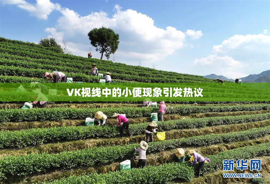 VK视线中的小便现象引发热议