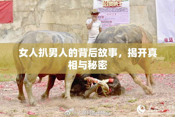 女人扒男人的背后故事，揭开真相与秘密