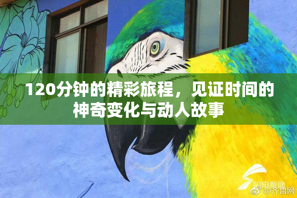 120分钟的精彩旅程，见证时间的神奇变化与动人故事