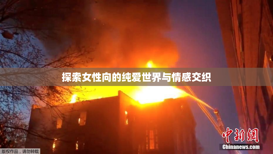 探索女性向的纯爱世界与情感交织