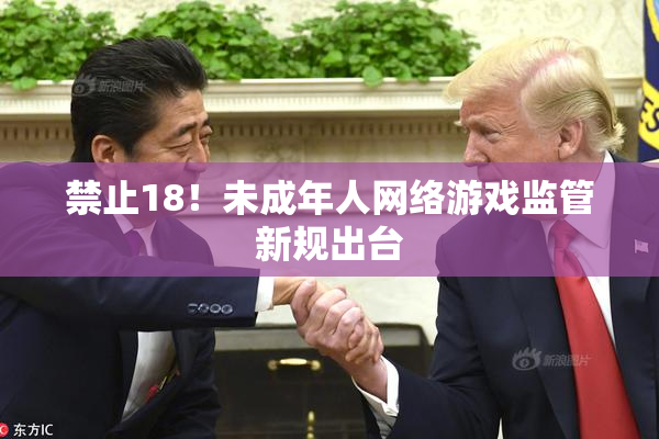 禁止18！未成年人网络游戏监管新规出台