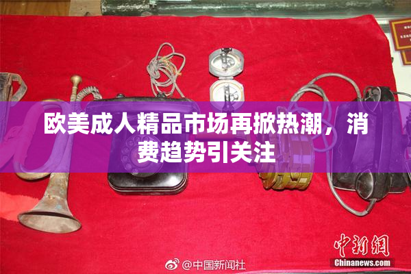 欧美成人精品市场再掀热潮，消费趋势引关注