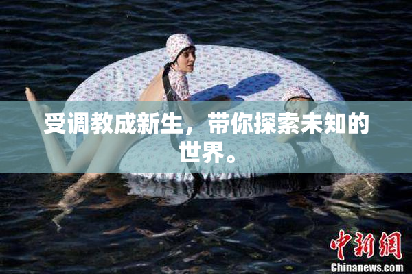受调教成新生，带你探索未知的世界。