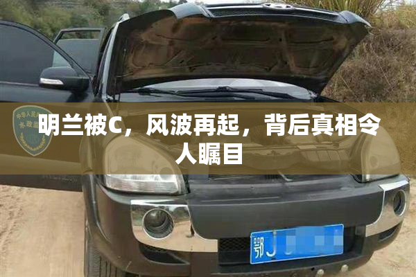 明兰被C，风波再起，背后真相令人瞩目