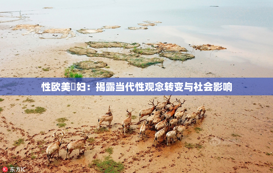 性欧美婬妇：揭露当代性观念转变与社会影响