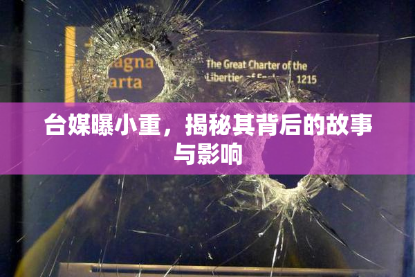 台媒曝小重，揭秘其背后的故事与影响