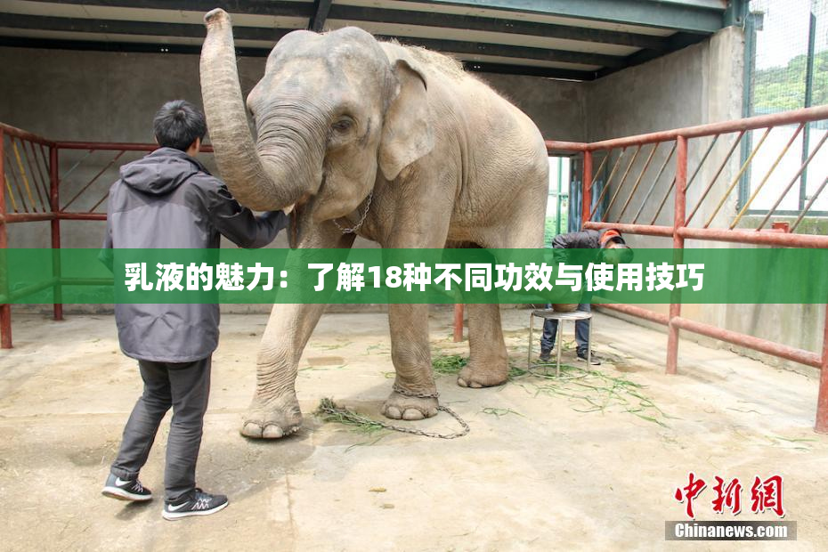 乳液的魅力：了解18种不同功效与使用技巧