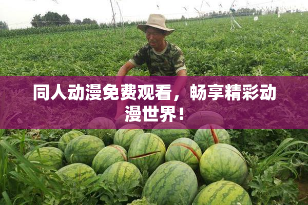 同人动漫免费观看，畅享精彩动漫世界！