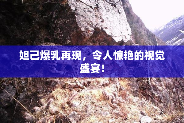 妲己爆乳再现，令人惊艳的视觉盛宴！