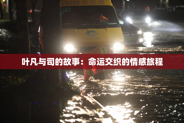 叶凡与司的故事：命运交织的情感旅程