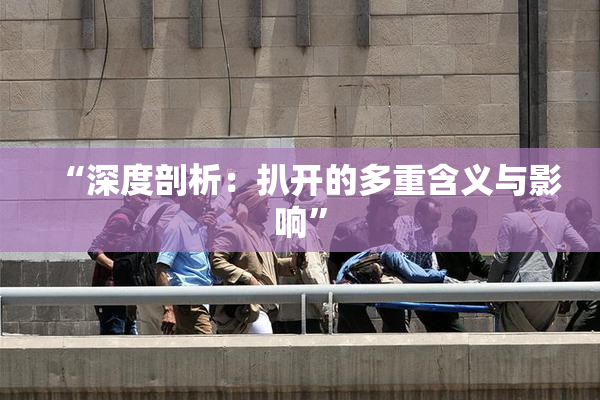“深度剖析：扒开的多重含义与影响”