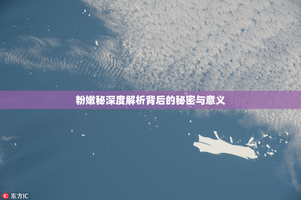 粉嫩秘深度解析背后的秘密与意义