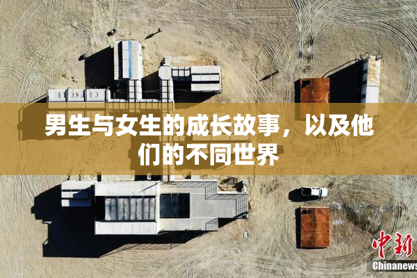 男生与女生的成长故事，以及他们的不同世界