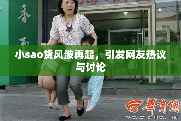 小sao货风波再起，引发网友热议与讨论