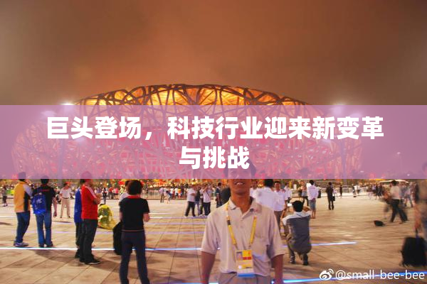 巨头登场，科技行业迎来新变革与挑战