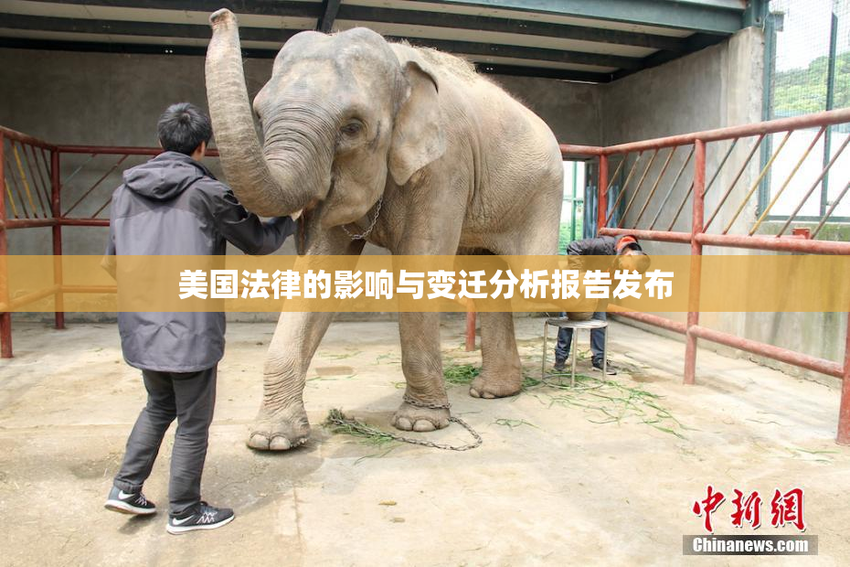 美国法律的影响与变迁分析报告发布