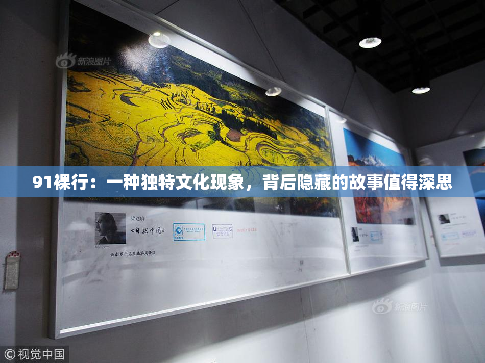 91裸行：一种独特文化现象，背后隐藏的故事值得深思