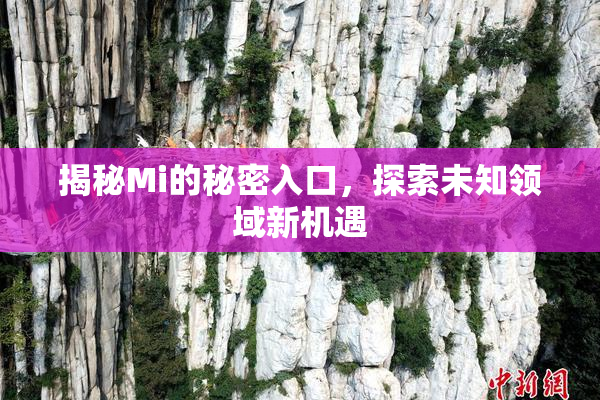 揭秘Mi的秘密入口，探索未知领域新机遇