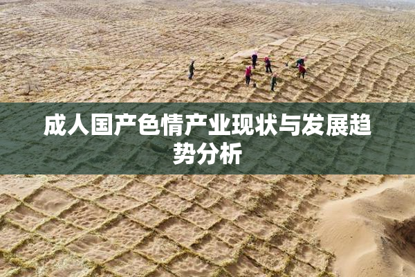 成人国产色情产业现状与发展趋势分析