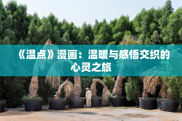 《温点》漫画：温暖与感悟交织的心灵之旅