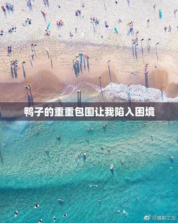 鸭子的重重包围让我陷入困境