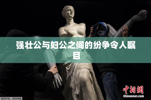 强壮公与妇公之间的纷争令人瞩目