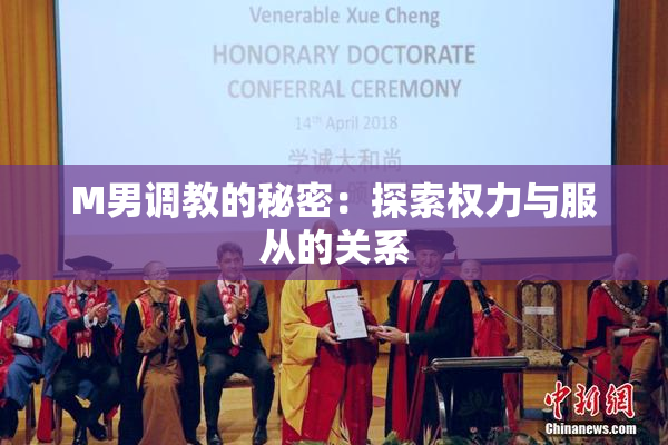 M男调教的秘密：探索权力与服从的关系