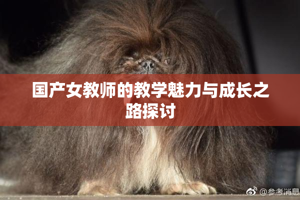 国产女教师的教学魅力与成长之路探讨
