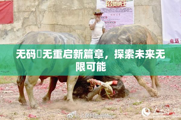 无码囯无重启新篇章，探索未来无限可能