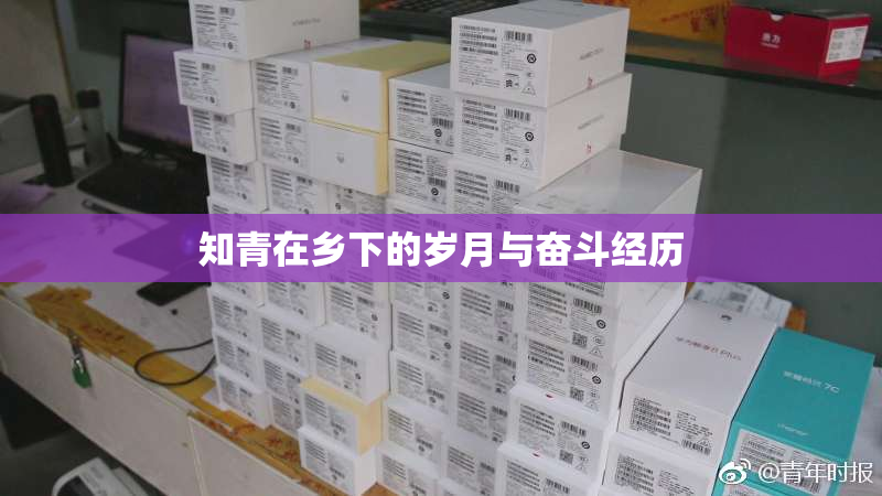 知青在乡下的岁月与奋斗经历
