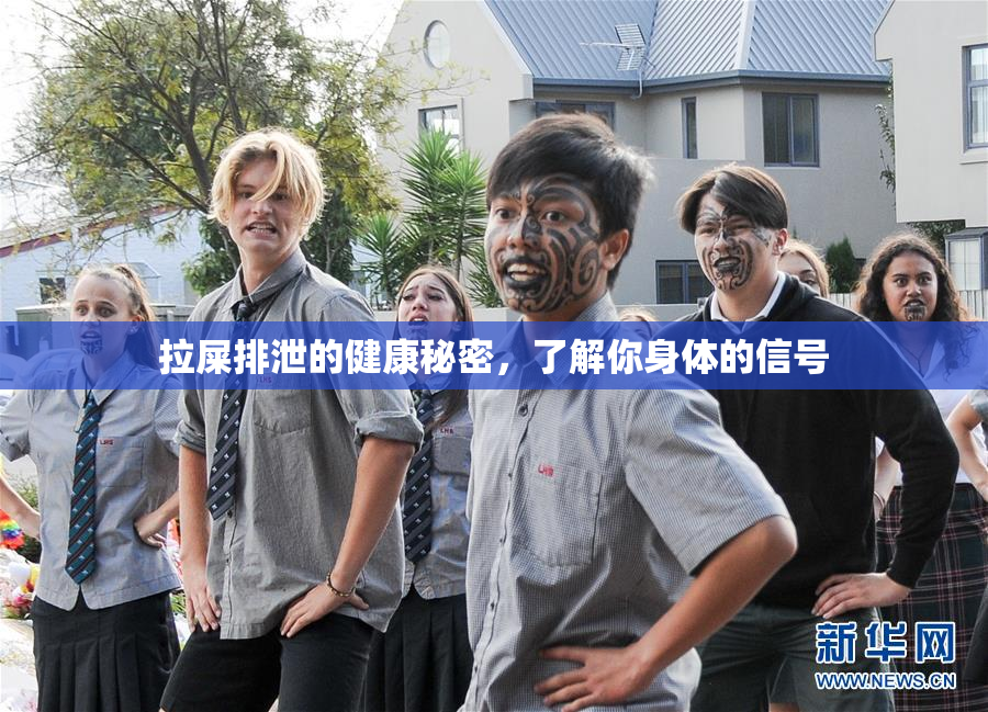 拉屎排泄的健康秘密，了解你身体的信号