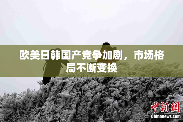 欧美日韩国产竞争加剧，市场格局不断变换