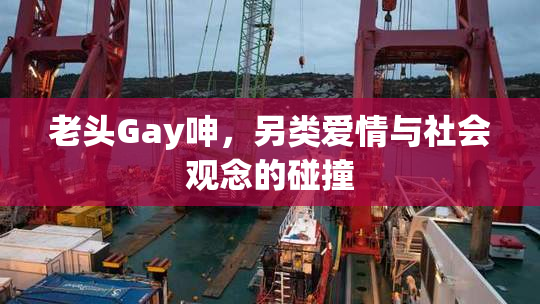 老头Gay呻，另类爱情与社会观念的碰撞