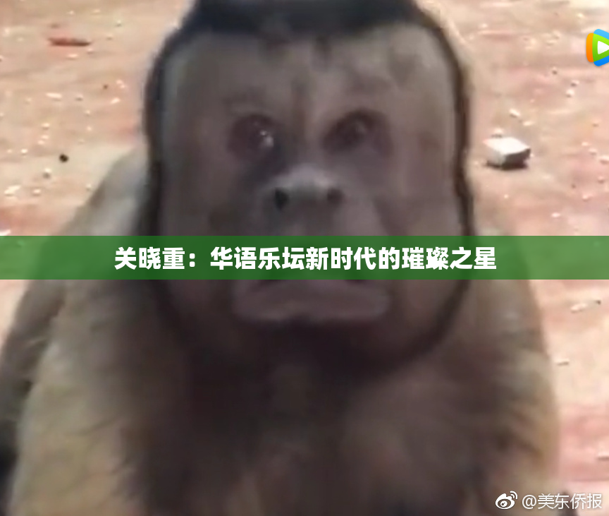关晓重：华语乐坛新时代的璀璨之星