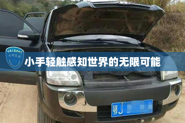 小手轻触感知世界的无限可能