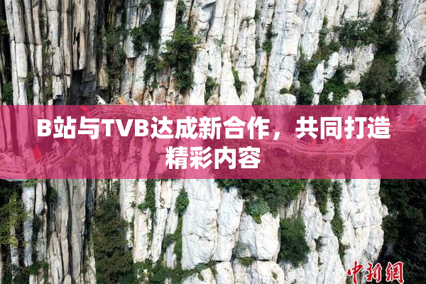 B站与TVB达成新合作，共同打造精彩内容