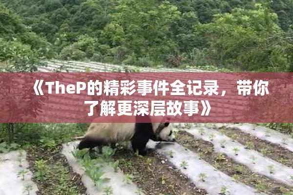 《TheP的精彩事件全记录，带你了解更深层故事》