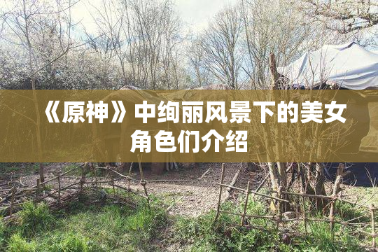 《原神》中绚丽风景下的美女角色们介绍