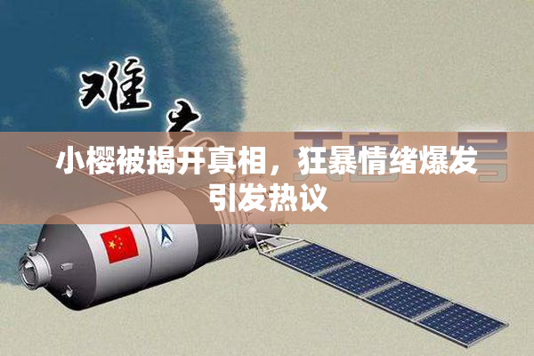 小樱被揭开真相，狂暴情绪爆发引发热议