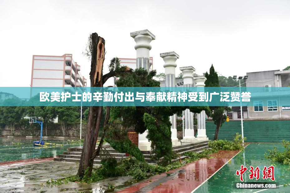 欧美护士的辛勤付出与奉献精神受到广泛赞誉