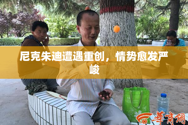 尼克朱迪遭遇重创，情势愈发严峻