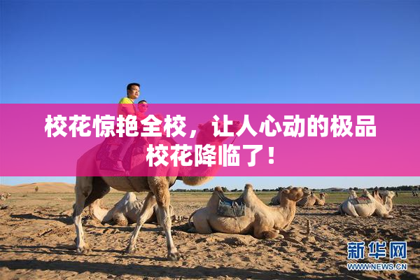 校花惊艳全校，让人心动的极品校花降临了！