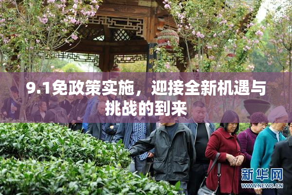 9.1免政策实施，迎接全新机遇与挑战的到来