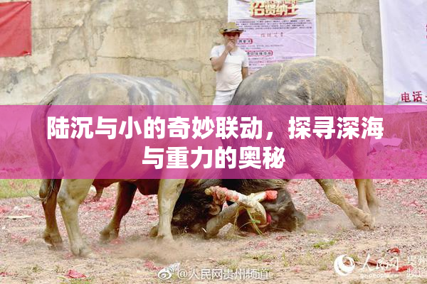 陆沉与小的奇妙联动，探寻深海与重力的奥秘