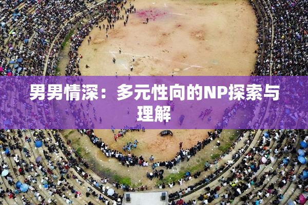 男男情深：多元性向的NP探索与理解