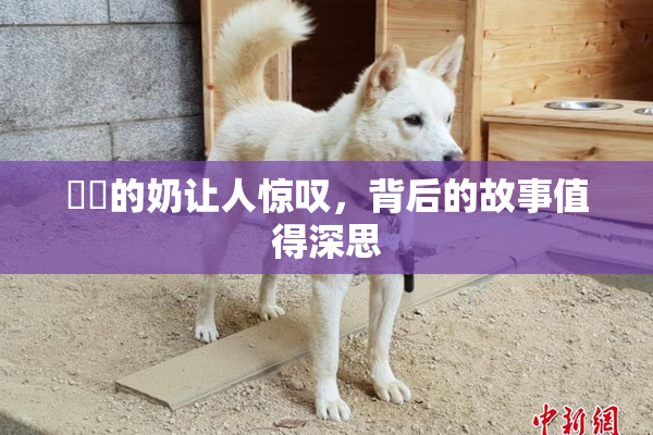 妺妺的奶让人惊叹，背后的故事值得深思