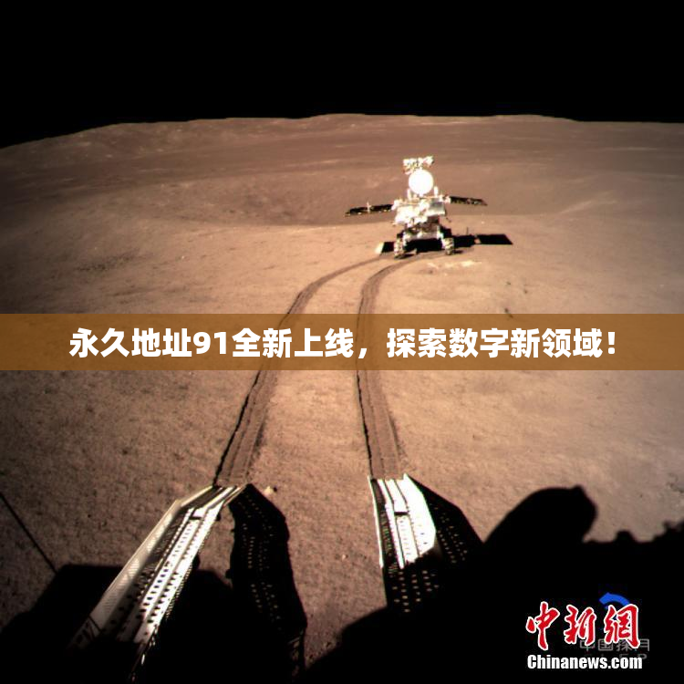永久地址91全新上线，探索数字新领域！